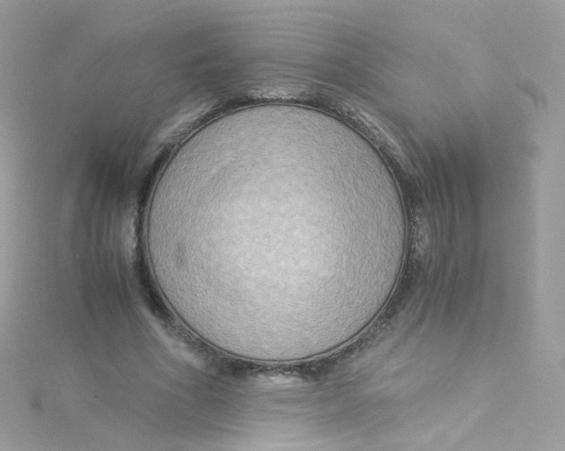 X0000115510586200911271432