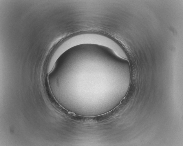 X0000115510587200911271432