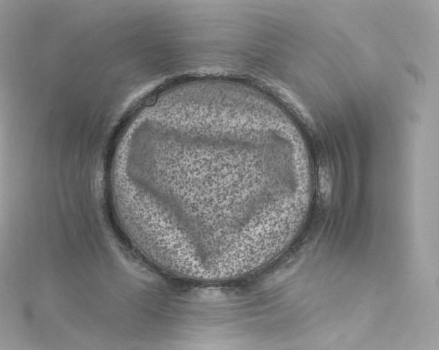 X0000115510588200911271432