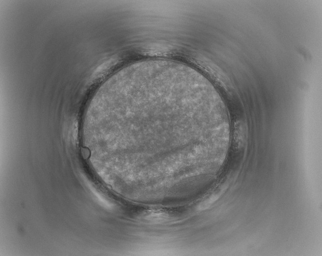 X0000115510589200911271432