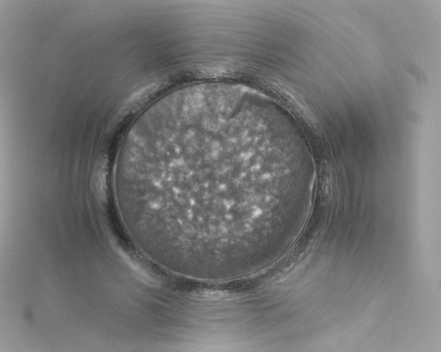 X0000115510590200911271432