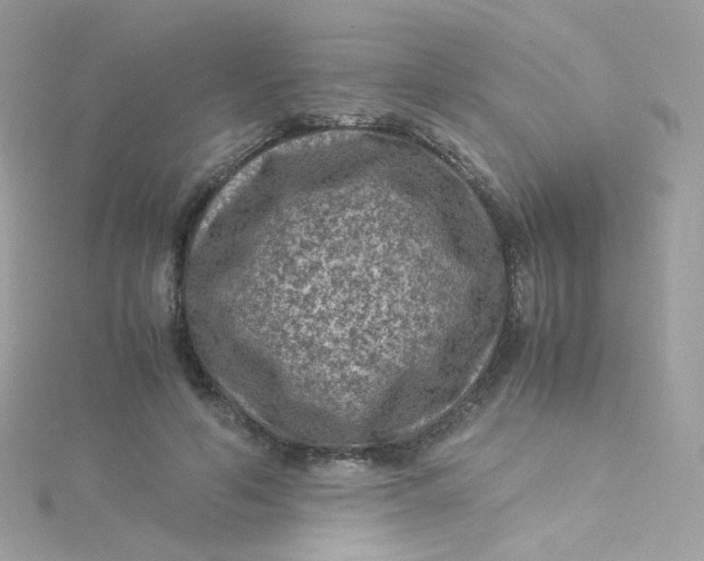 X0000115510594200911271432