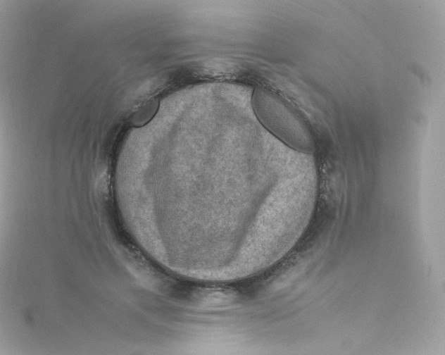 X0000115510597200911271432