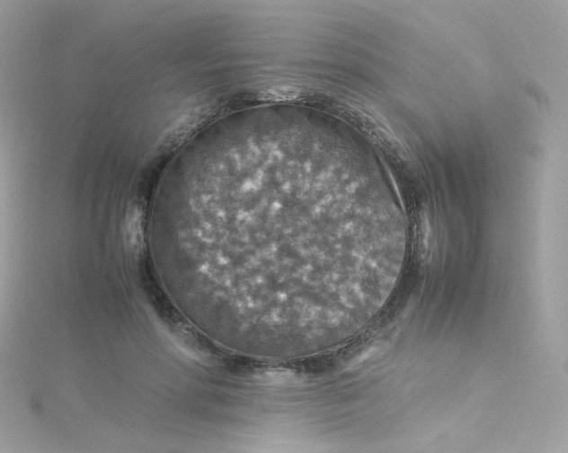 X0000115510598200911271432