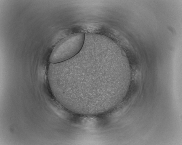 X0000115510599200911271432