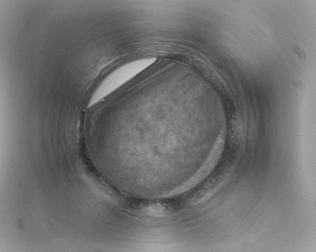 X0000115510600200911271432