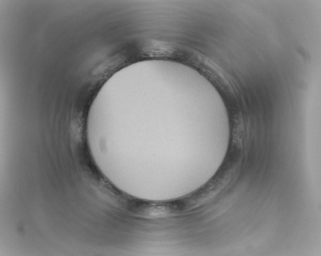 X0000115510604200911271432