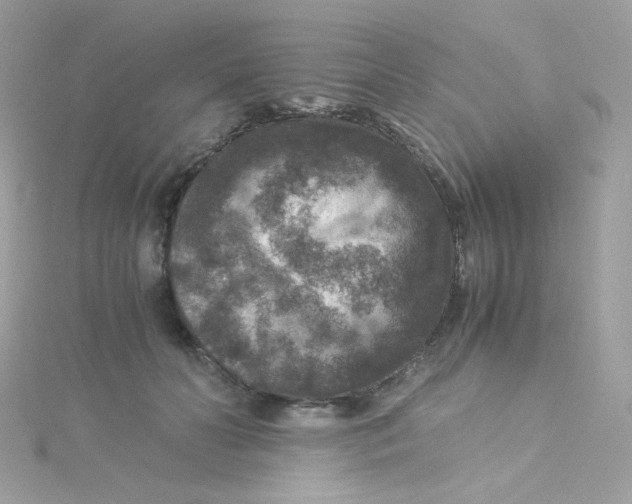 X0000115510606200911271432