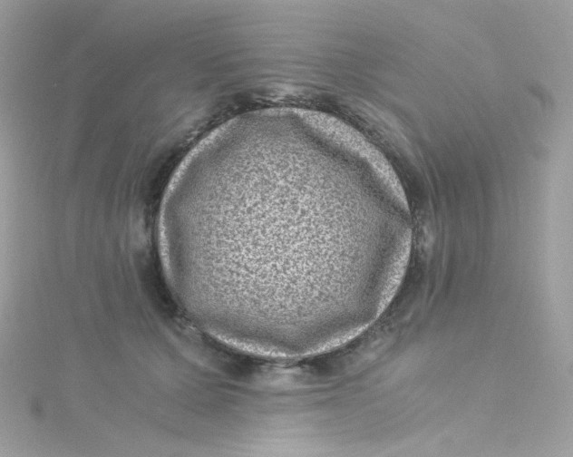 X0000115510607200911271432