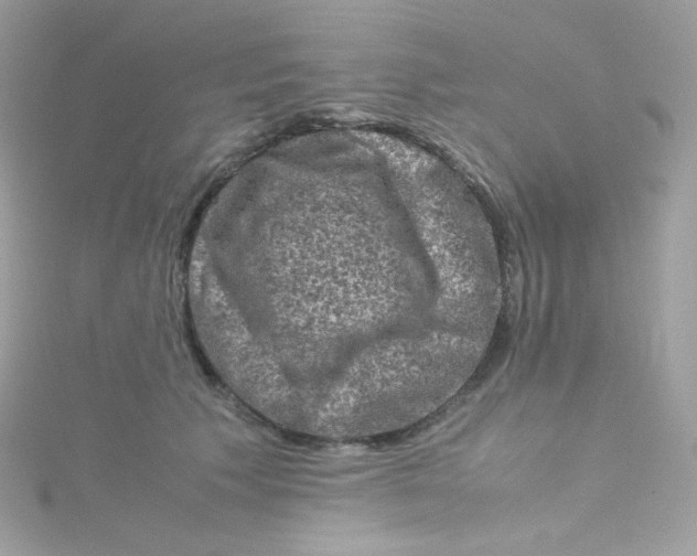 X0000115510609200911271432