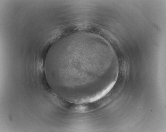 X0000115510610200911271432