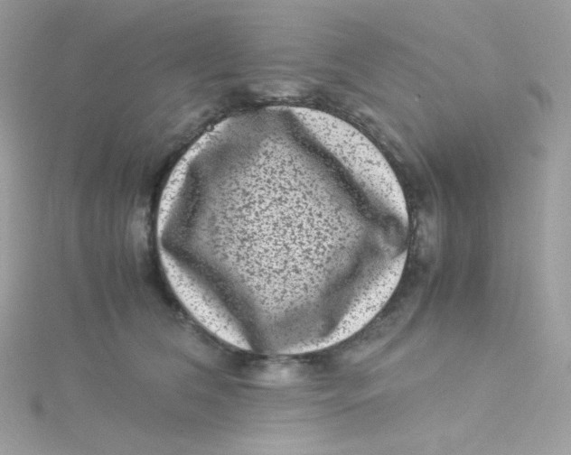 X0000115510612200911271432