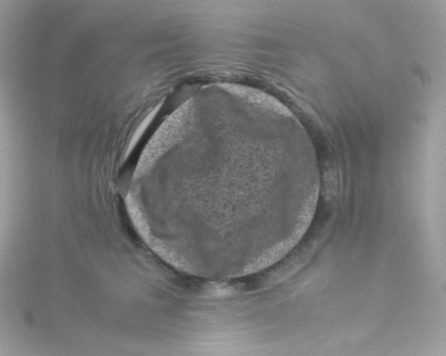 X0000115510613200911271432