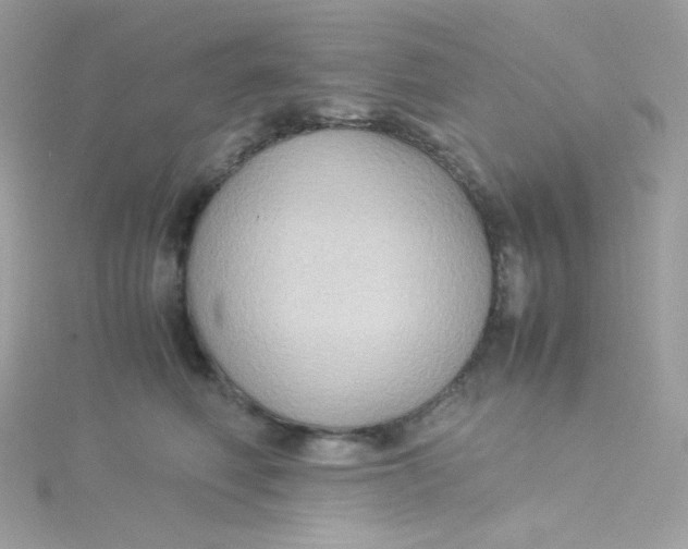 X0000115510614200911271432