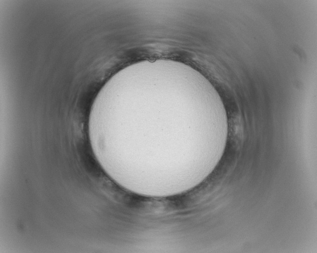 X0000115510615200911271432