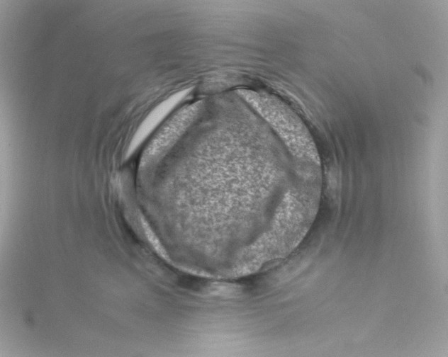 X0000115510617200911271432