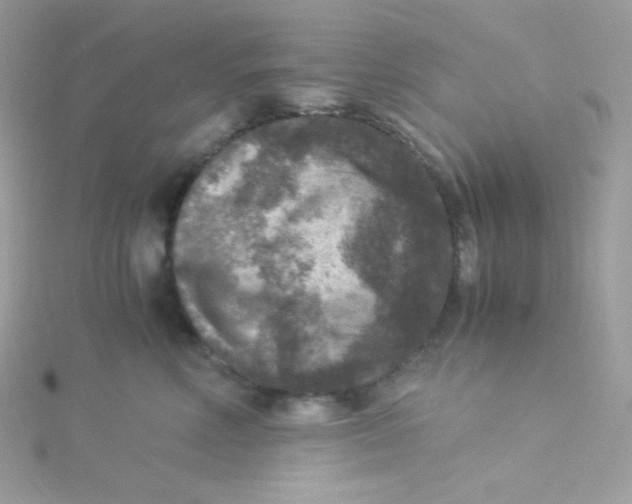 X0000115510618200911271432