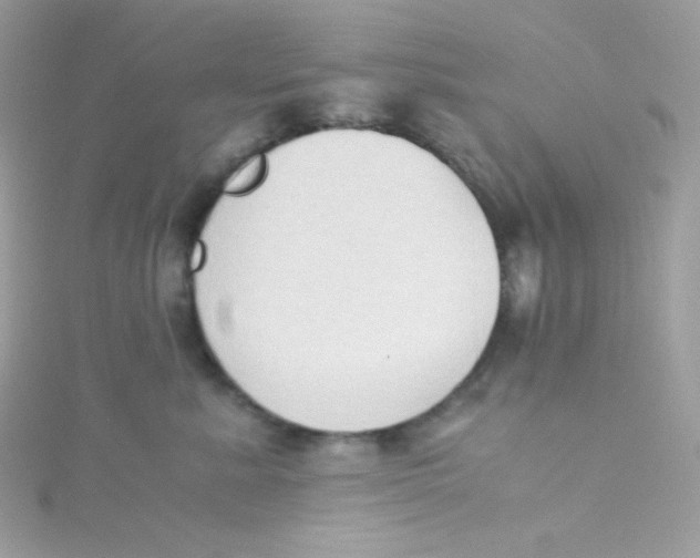 X0000115510619200911271432