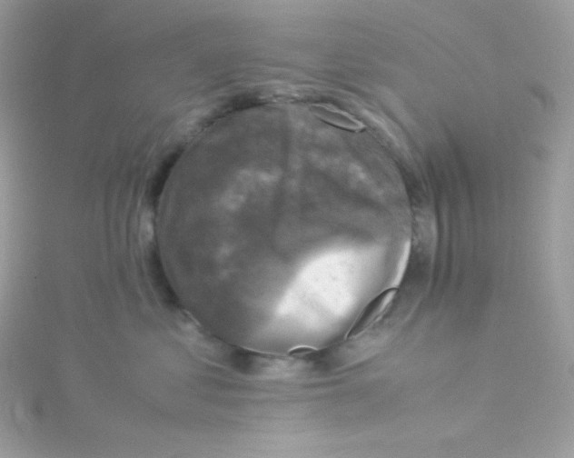 X0000115510621200911271432