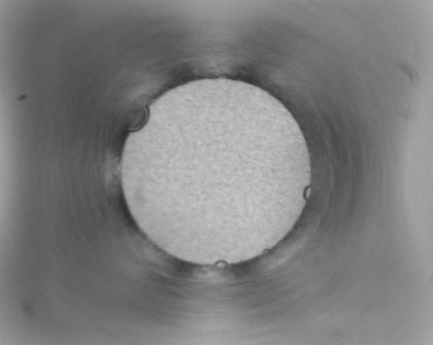 X0000115510624200911271432