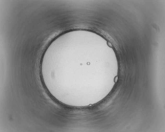 X0000115510625200911271431