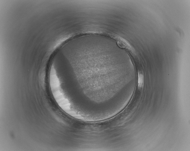 X0000115510627200911271431