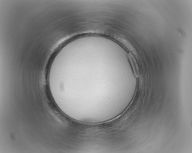 X0000115510628200911271431