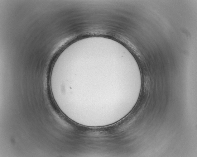 X0000115510629200911271431