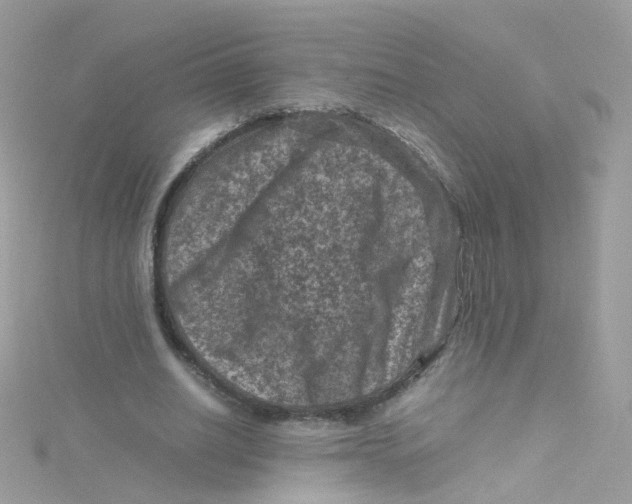 X0000115510630200911271431