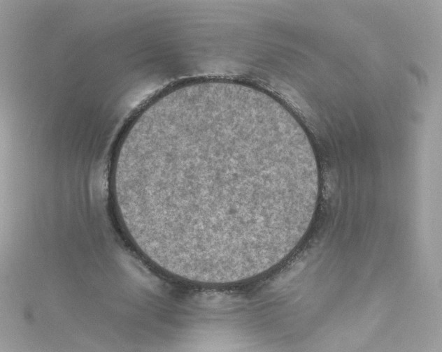 X0000115510632200911271431