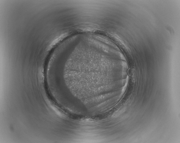 X0000115510634200911271431