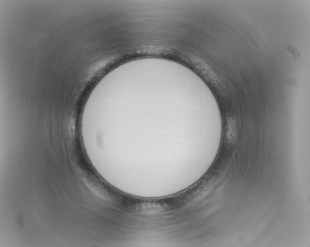 X0000115510636200911271431