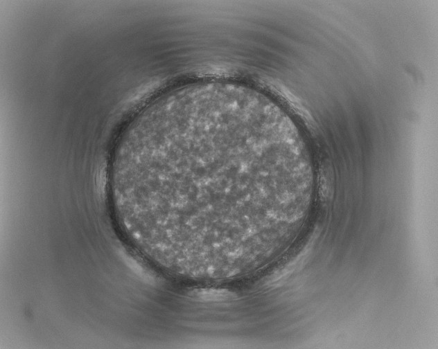 X0000115510637200911271431