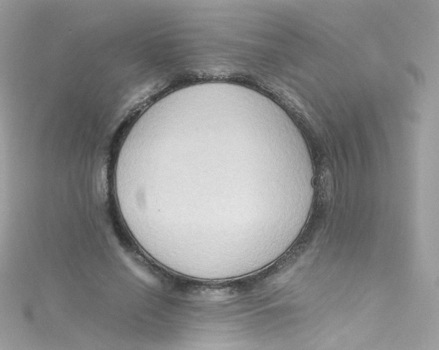 X0000115510638200911271431