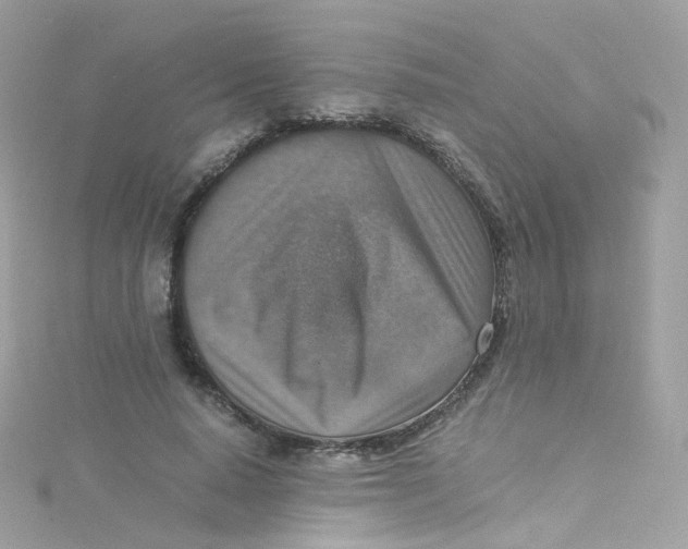 X0000115510640200911271431