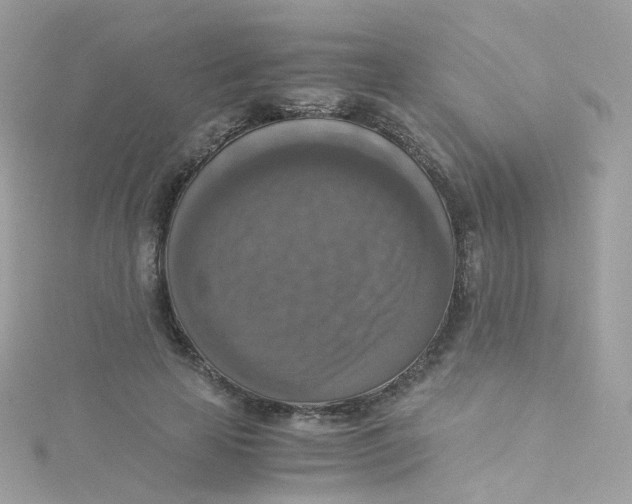 X0000115510641200911271431