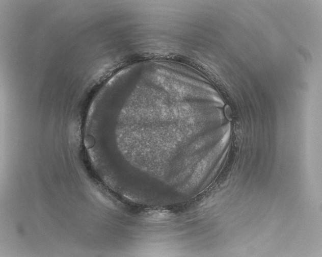 X0000115510642200911271431