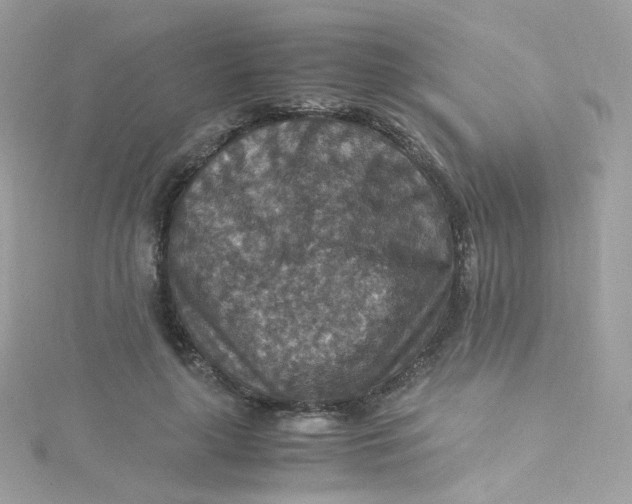 X0000115510643200911271431