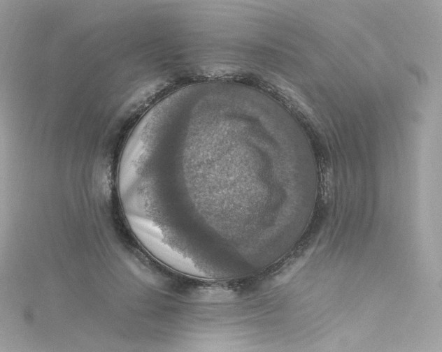 X0000115510644200911271431