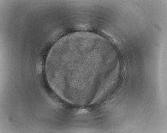 X0000115510647200911271431