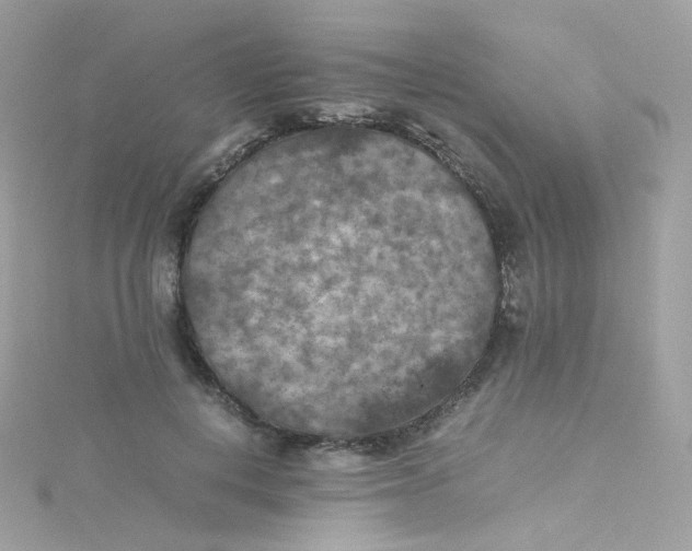 X0000115510648200911271431