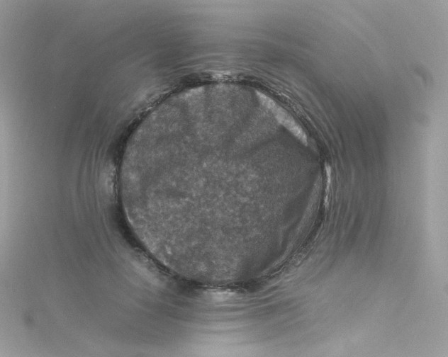 X0000115510650200911271431