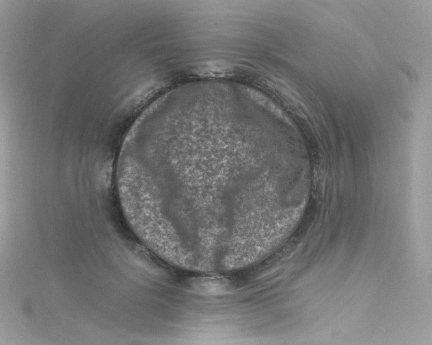 X0000115510652200911271431