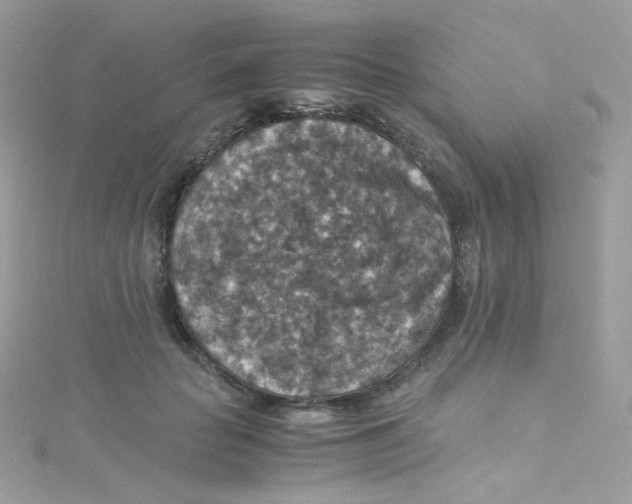 X0000115510653200911271431