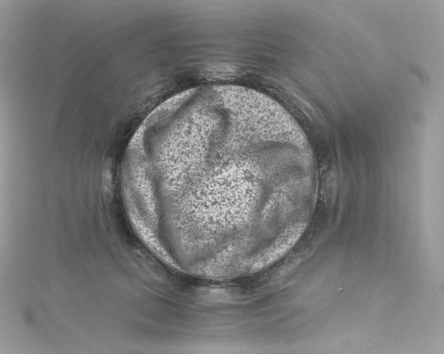 X0000115510655200911271432