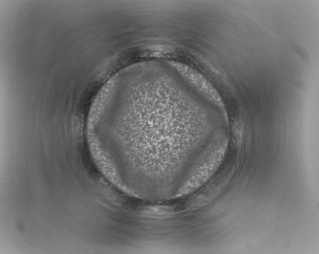 X0000115510657200911271432