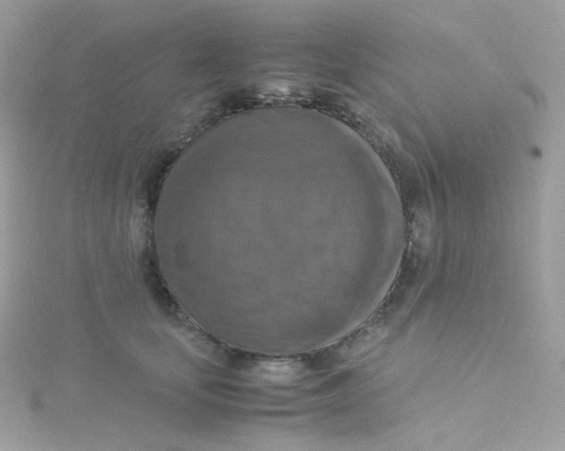 X0000115510659200911271432