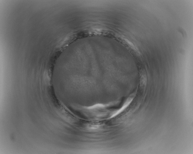 X0000115510661200911271432