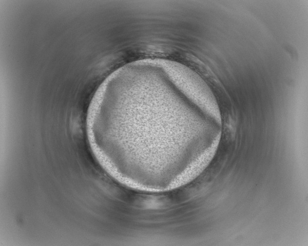 X0000115510663200911271432