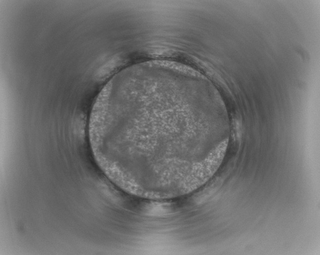 X0000115510664200911271432